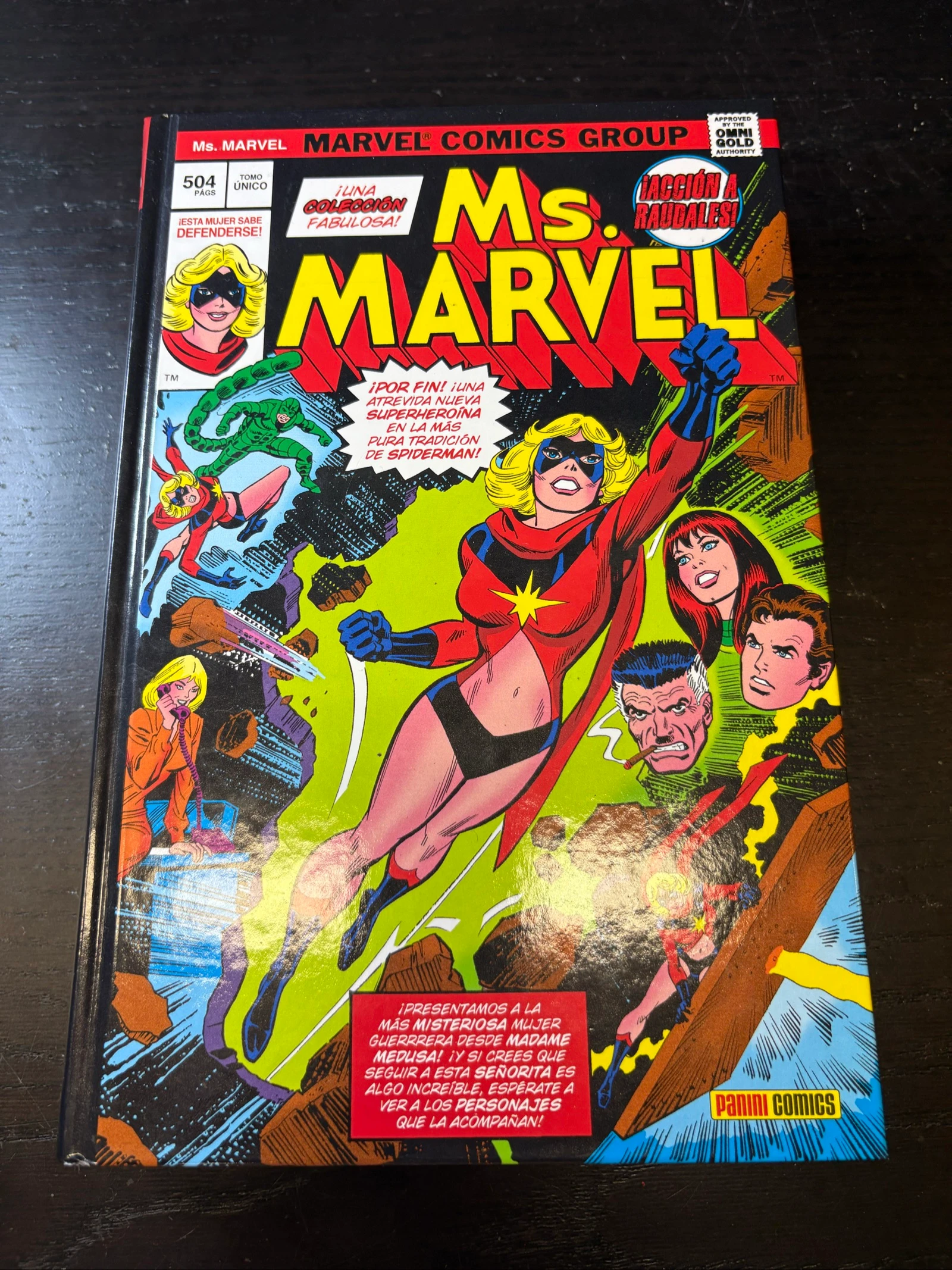 Ms. Marvel Marvel Limited Edition Panini | Tomo único | Tapa dura | Muy buen estado